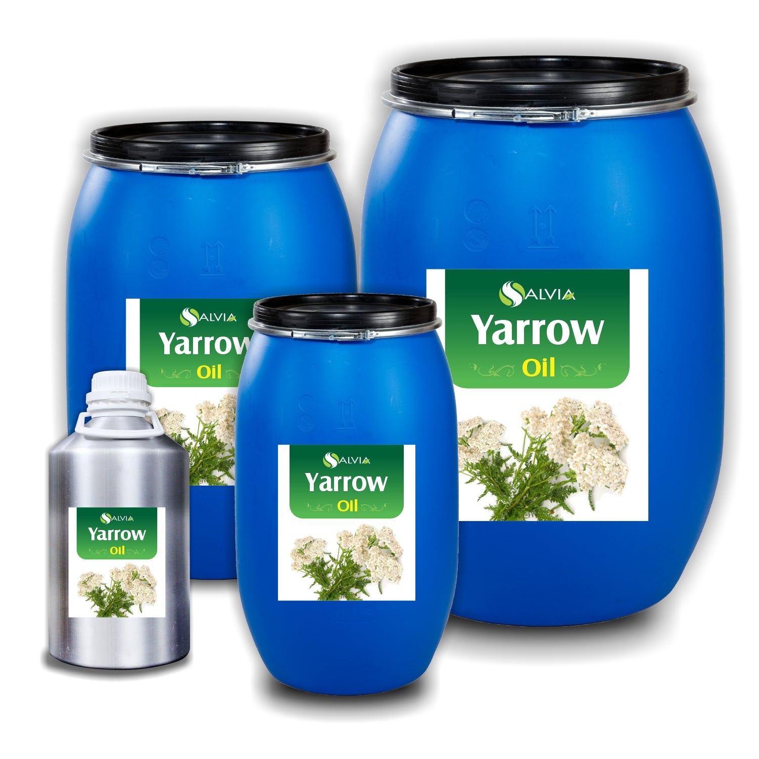 Yarrow Essential Oil Yarrow Essential Oil